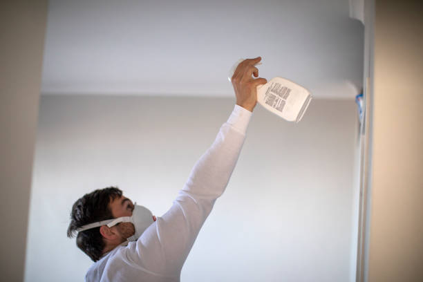 Best Mold Removal Near Me  in Helemano, HI