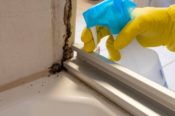 Best Commercial Mold Removal  in Helemano, HI