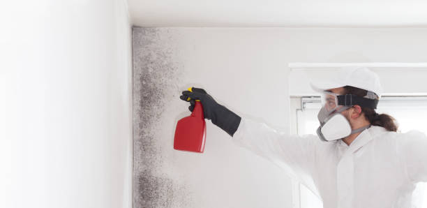 Best Residential Mold Removal  in Helemano, HI